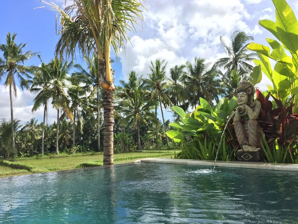 The Suris Ubud