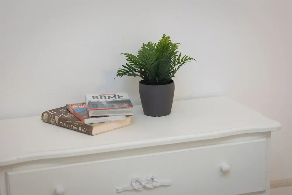 Rental in Rome Angelico Apartment