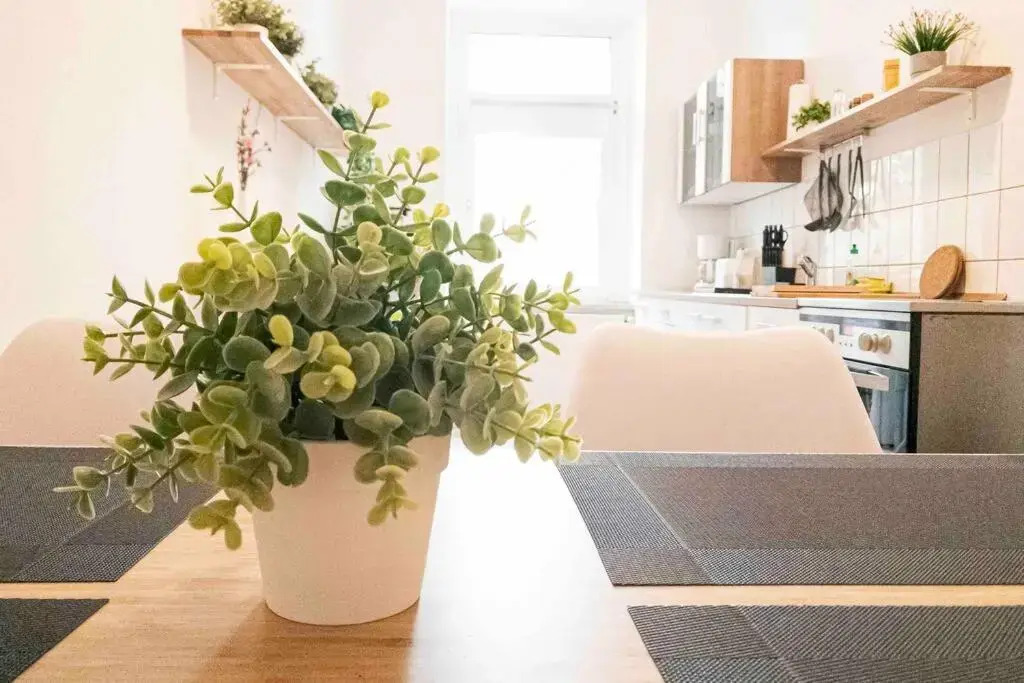 Top moderne Wohnung in Leipziger Altbau - Netflix inklusive