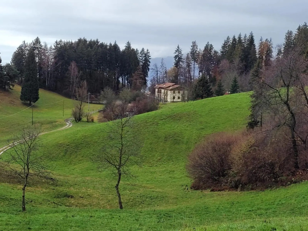 Green House nel bosco