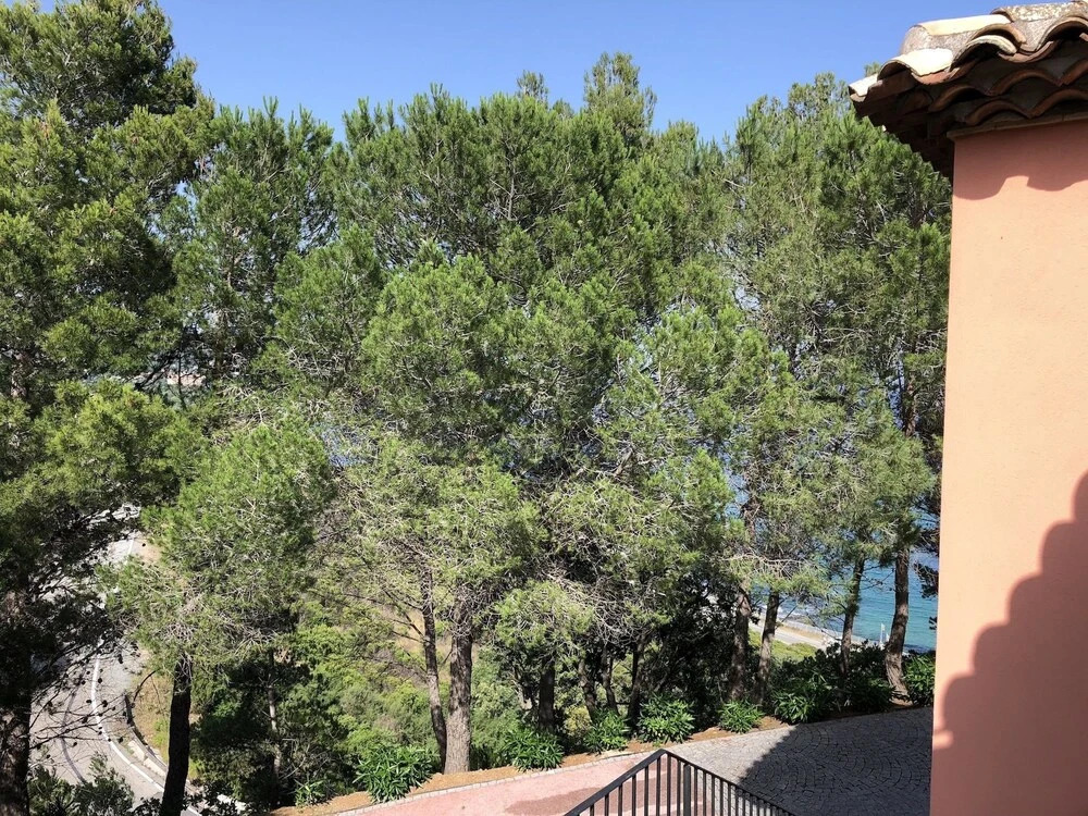 Studio SeaView