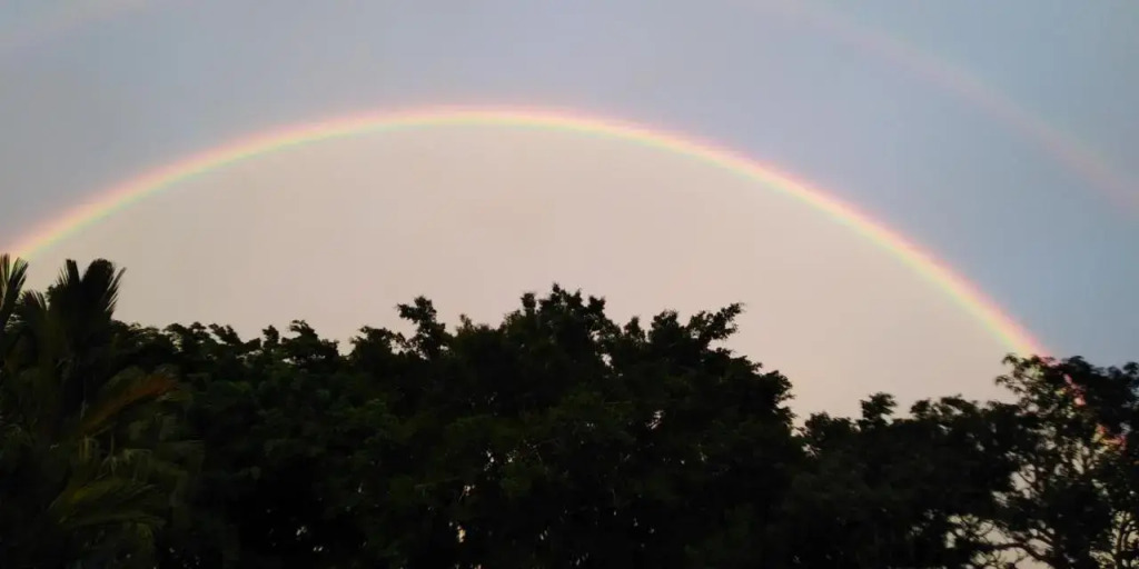 The River House