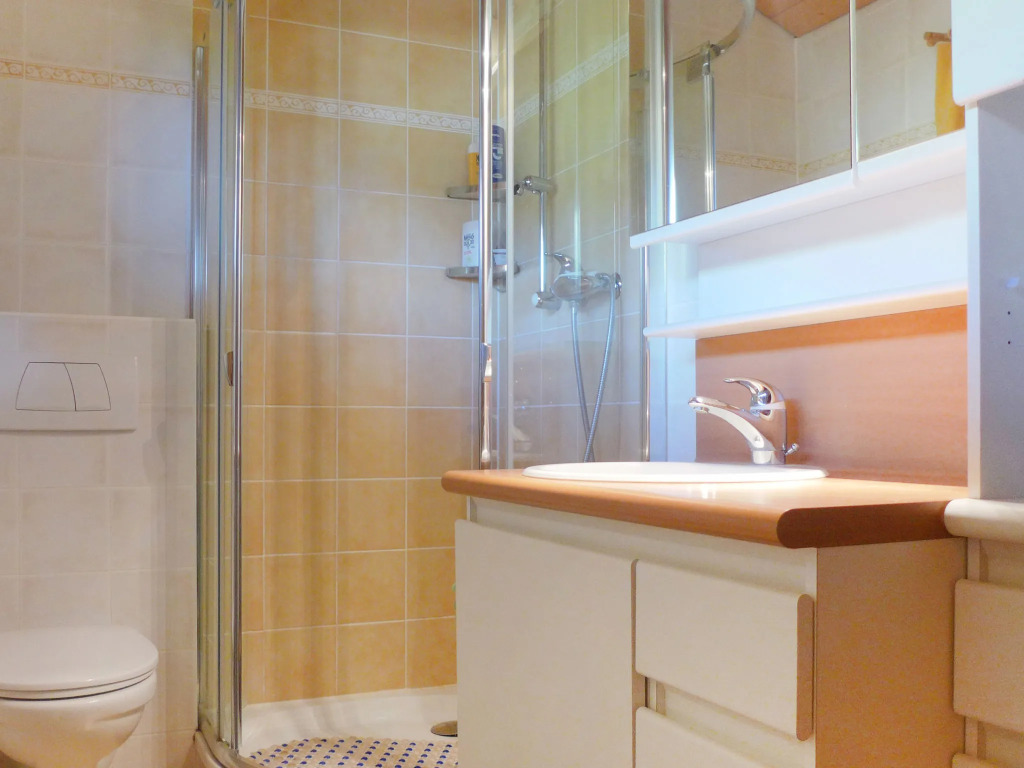 Chalet La tintaz