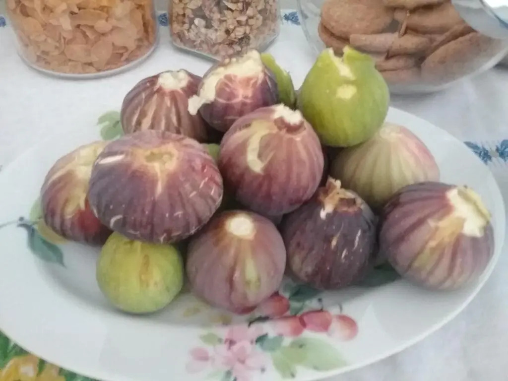 LI CURTI B&B