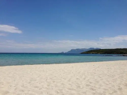 Stella Marina