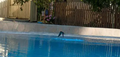 Aparthotel 3 stars Kavos