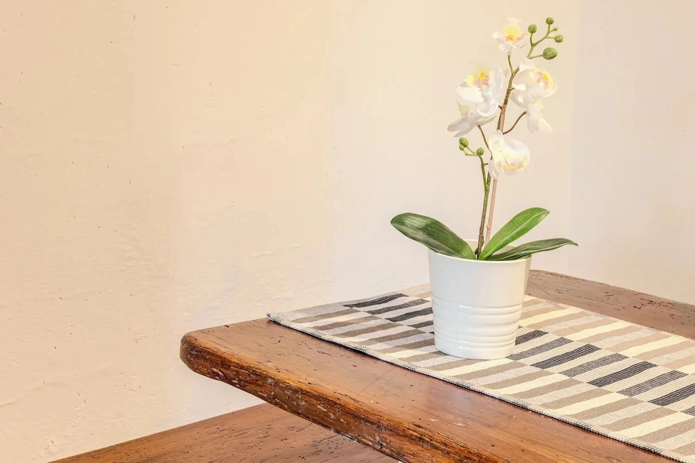 Castel D Arno Guest House Assisi Perugia