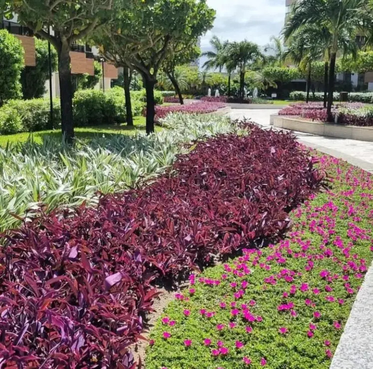 Paraíso do Atlântico Club Residence