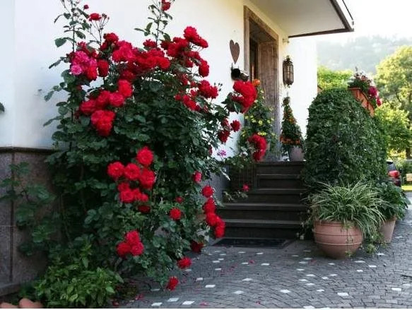 Appartments Schrina