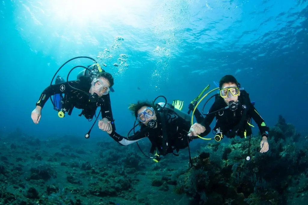 Bali Dive Resort Amed