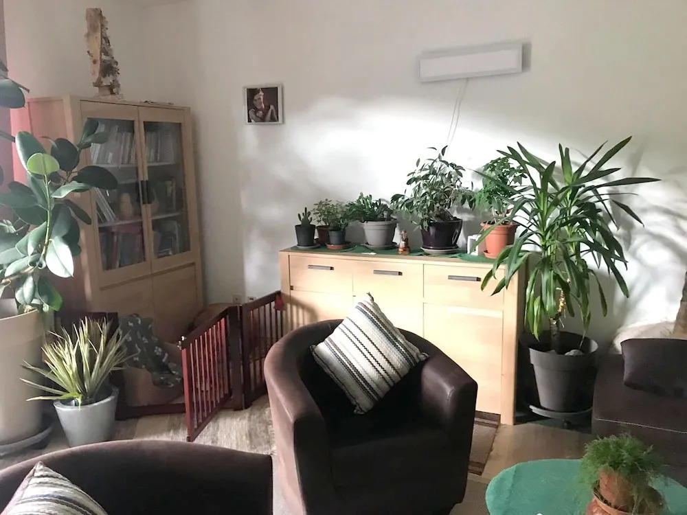 Apartment with One Bedroom in Lourdes, with Furnished Terrace