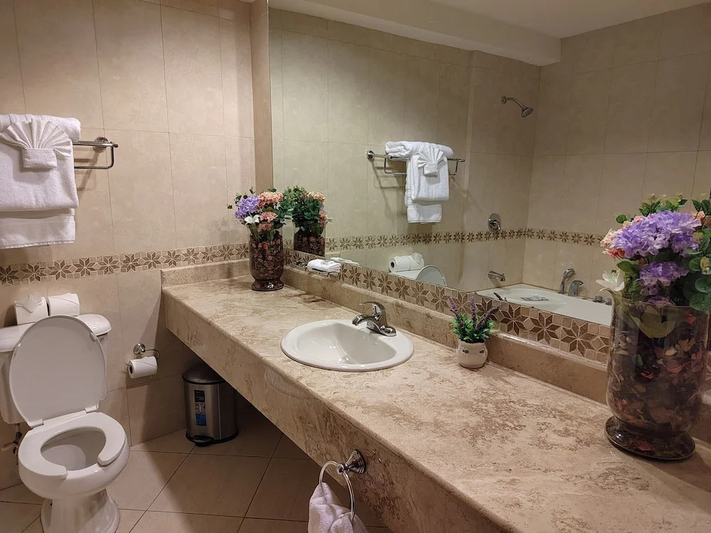Princess Hotel and Casino Free Zone