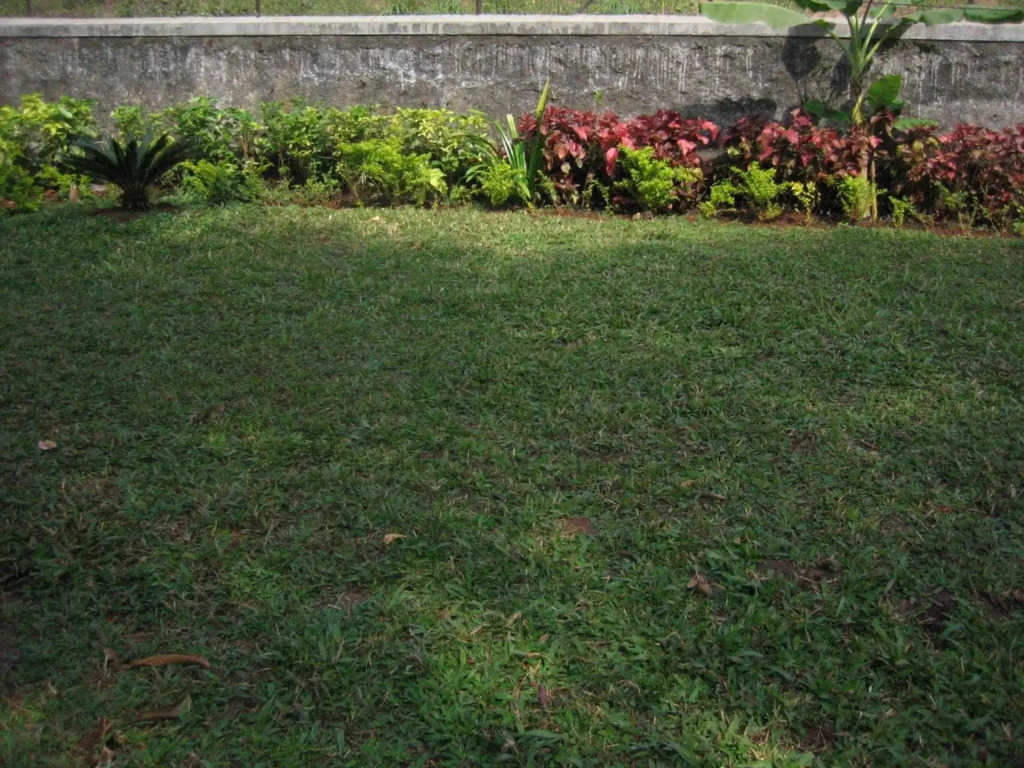 Hotel Ferreira Resort
