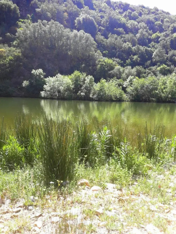 Su Carreri