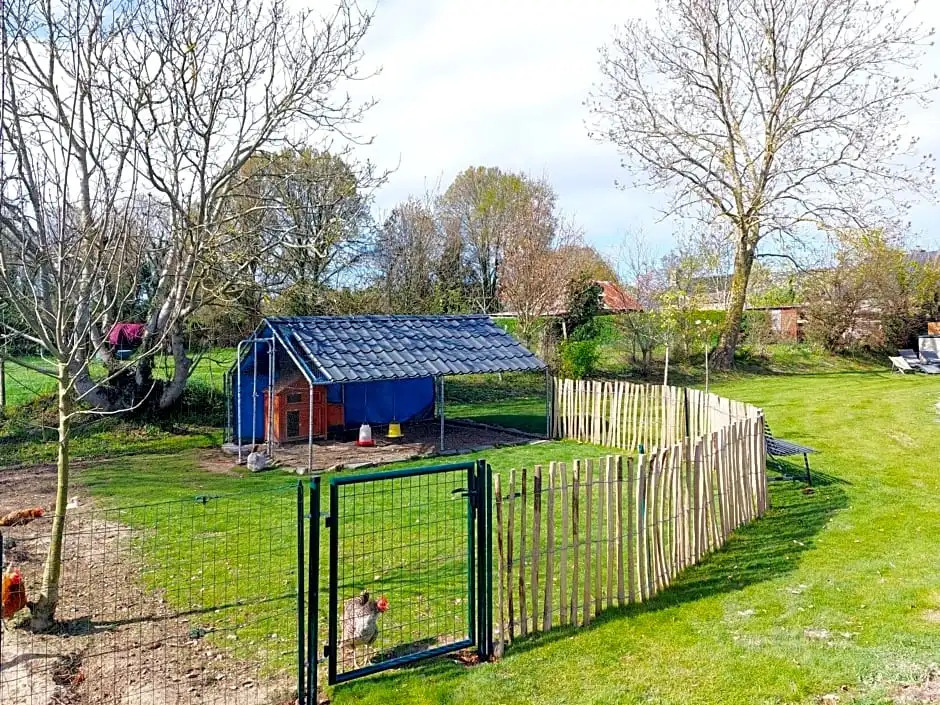 Chambres dhôtes - Bed & Breakfast Homestay
