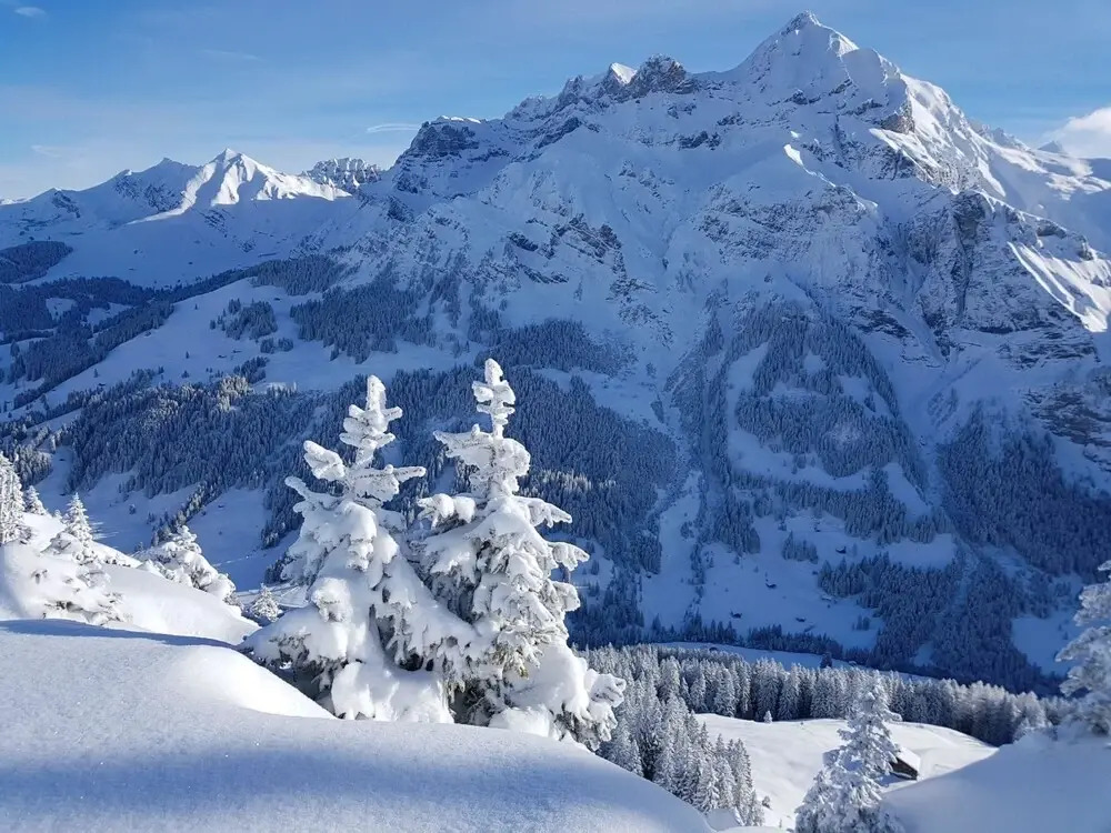 L Rchehuus Adelboden