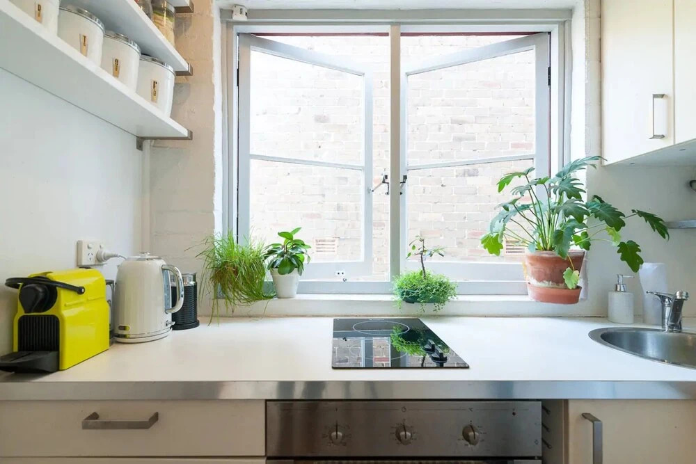 Beautiful Lush and Green Oasis Studio Apartment