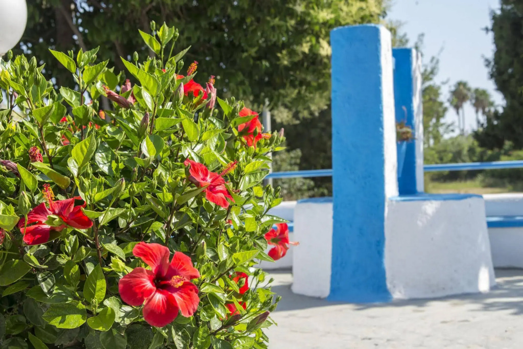 Yiannis Apartments