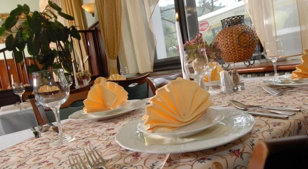 Spa Hotel Bily Horec