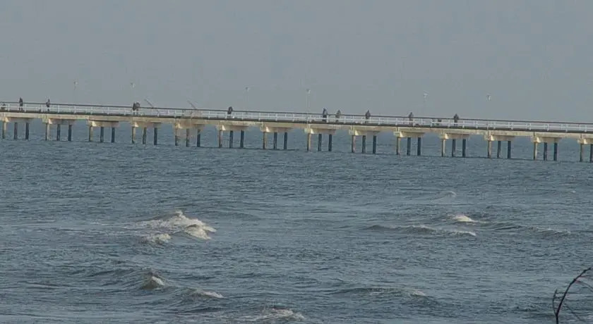BienPalanga