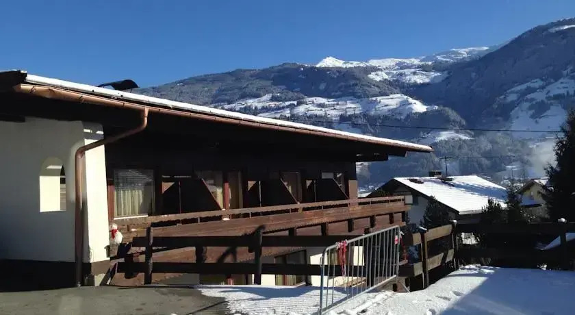 Bella Montana