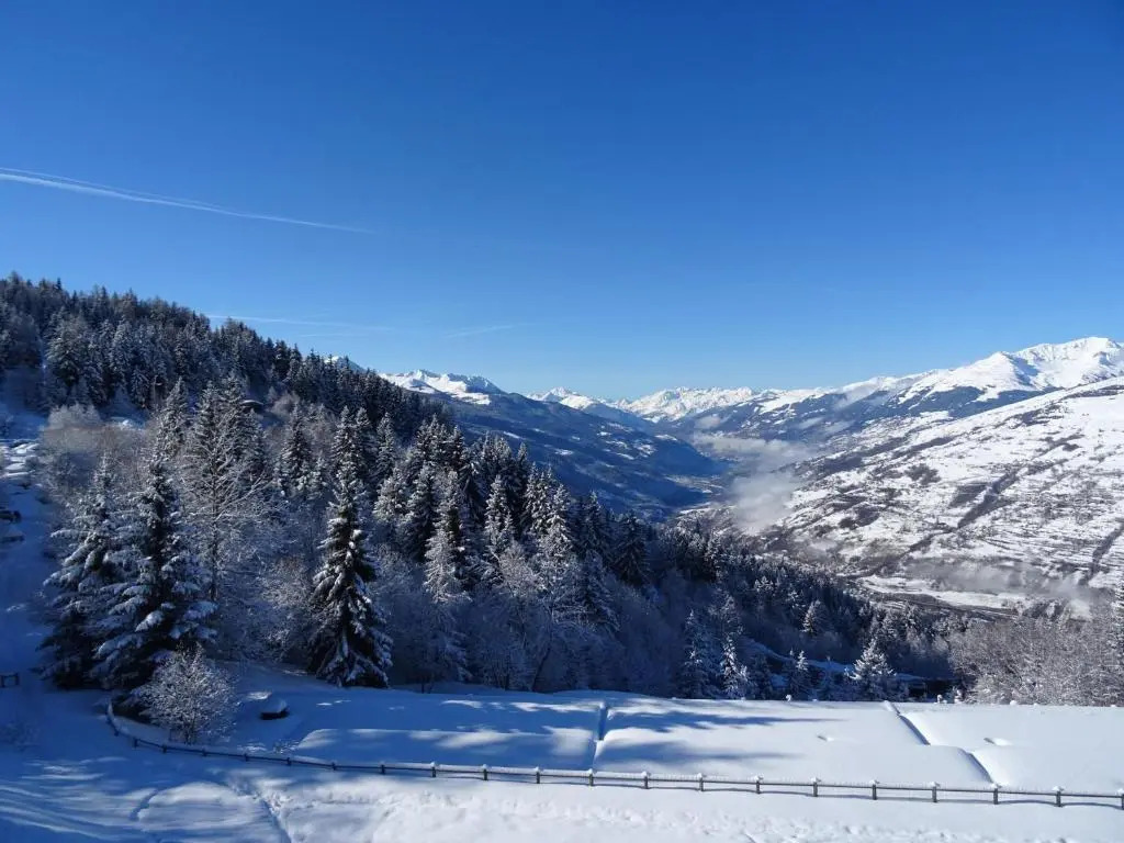 Appartement Les Arcs 1600, 2 pièces, 6 personnes - FR-1-411-183