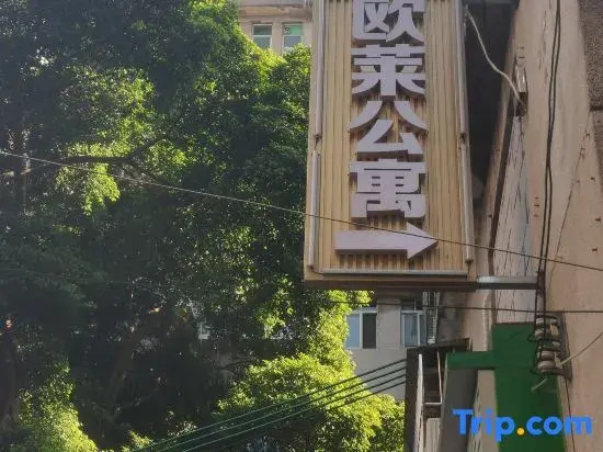 Oulai Apartment (Southern Medical University Zhujiang Hospital)