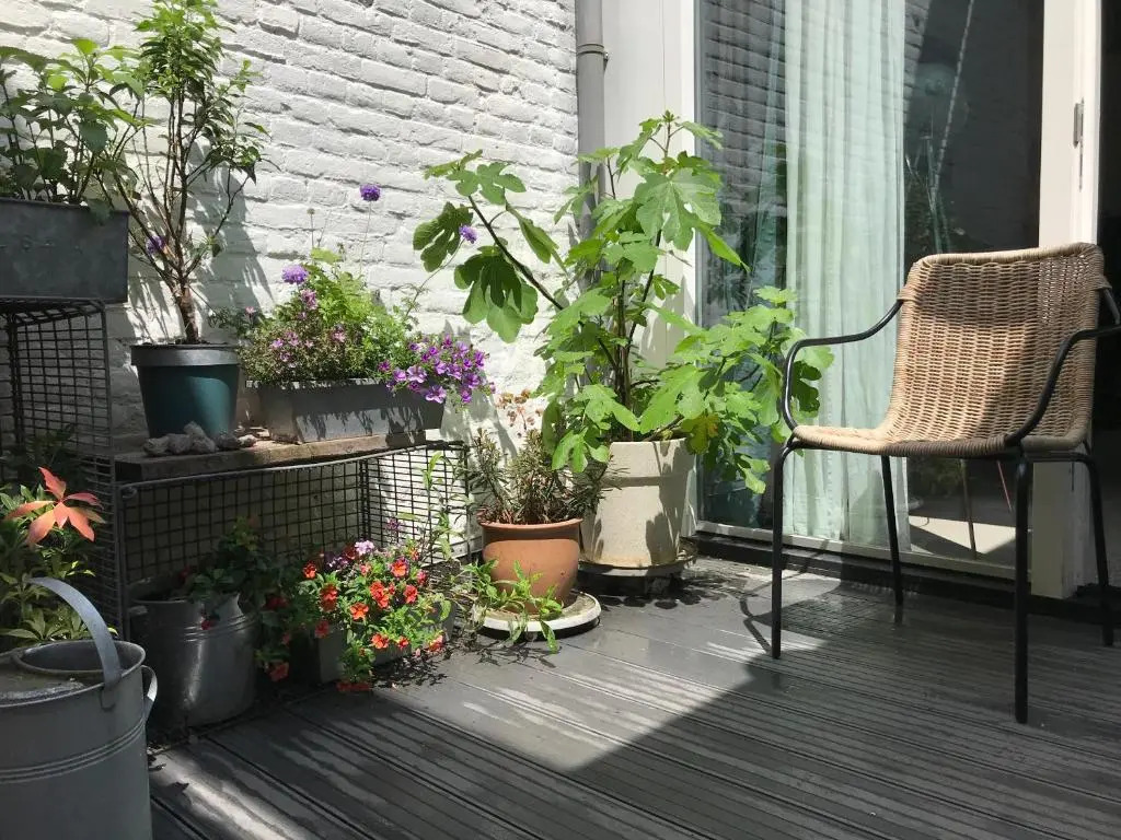 Studio In de Hoet