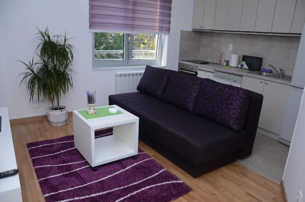 Sekulas City Center Apartment