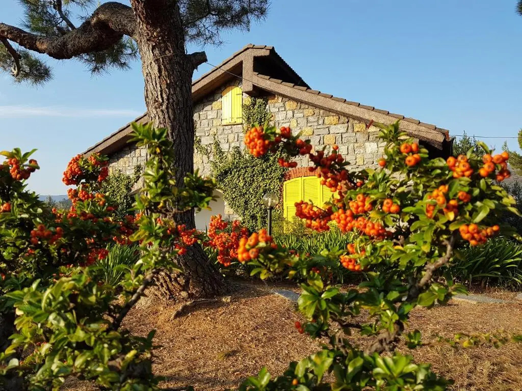 Casa Lavanda