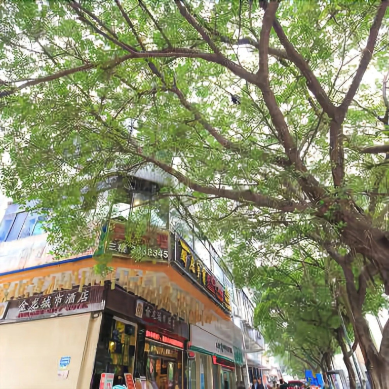 Jinlong City Hotel