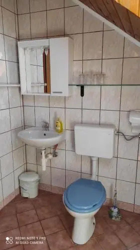 Apartment Nikolina