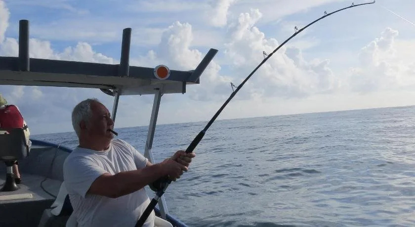 Toucan and Tarpon
