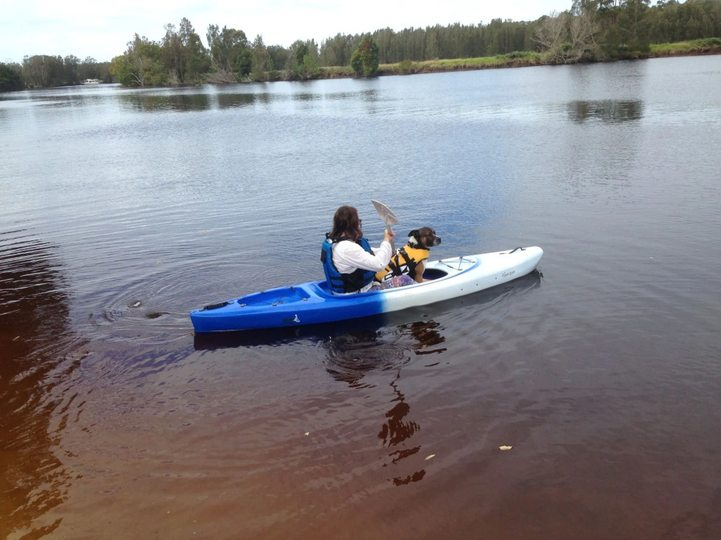 Discovery Parks - Forster