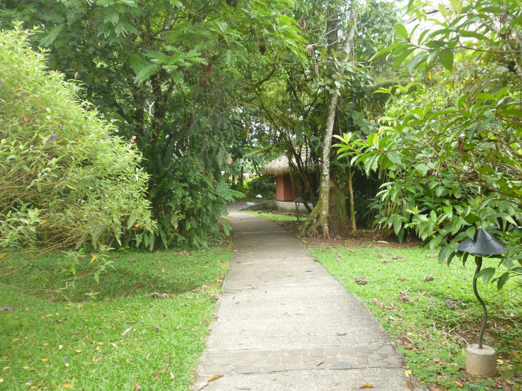 Aranwa Sarapiquí Rainforest Lodge