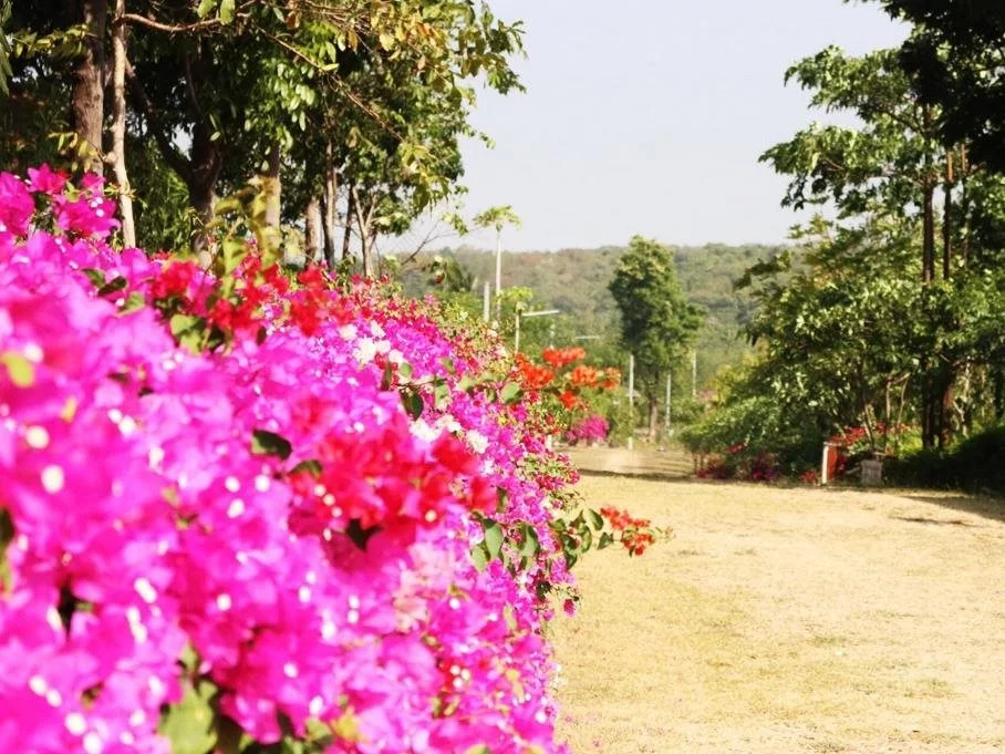 Greenhill Resort Muaklek