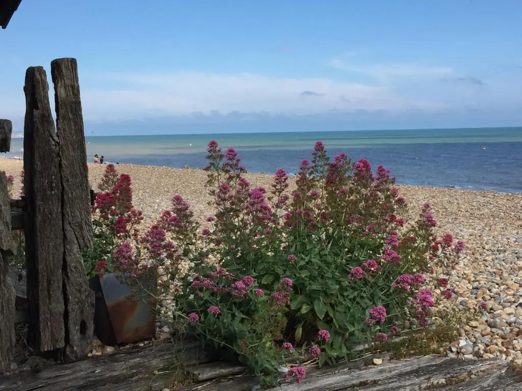 Beautiful 4 Bed Beach House