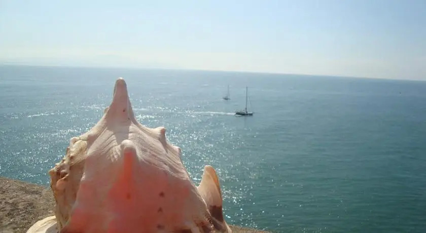 Sulmare