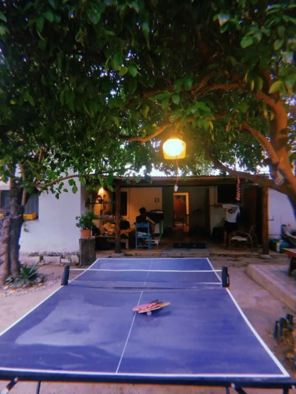 Jaracanda Hostel San Marcos