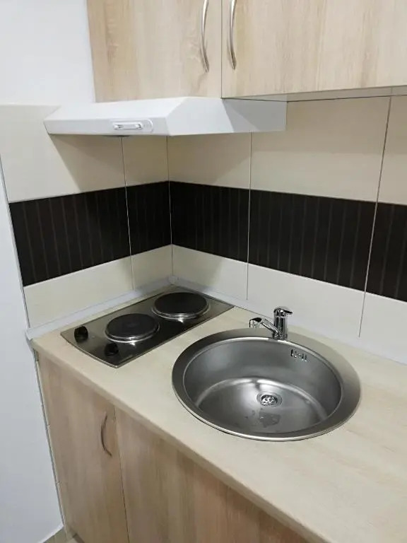 Apartment Tijana