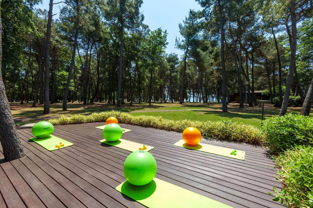 Hotel Pelegrin Plava Laguna