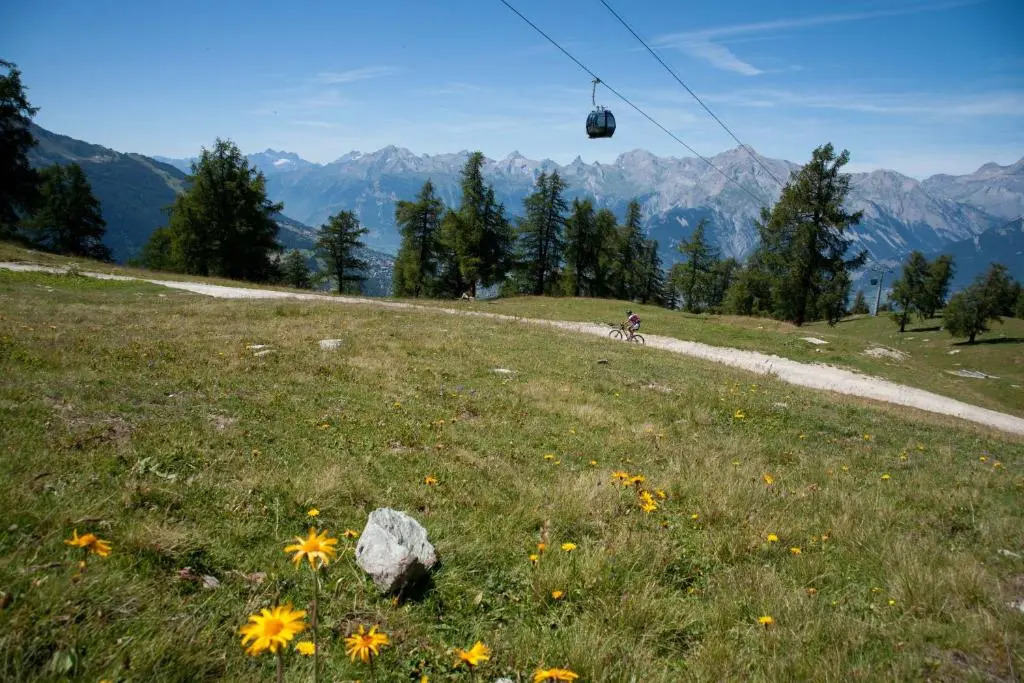 Diablerets SKI LIFT & MOUNTAIN apartments