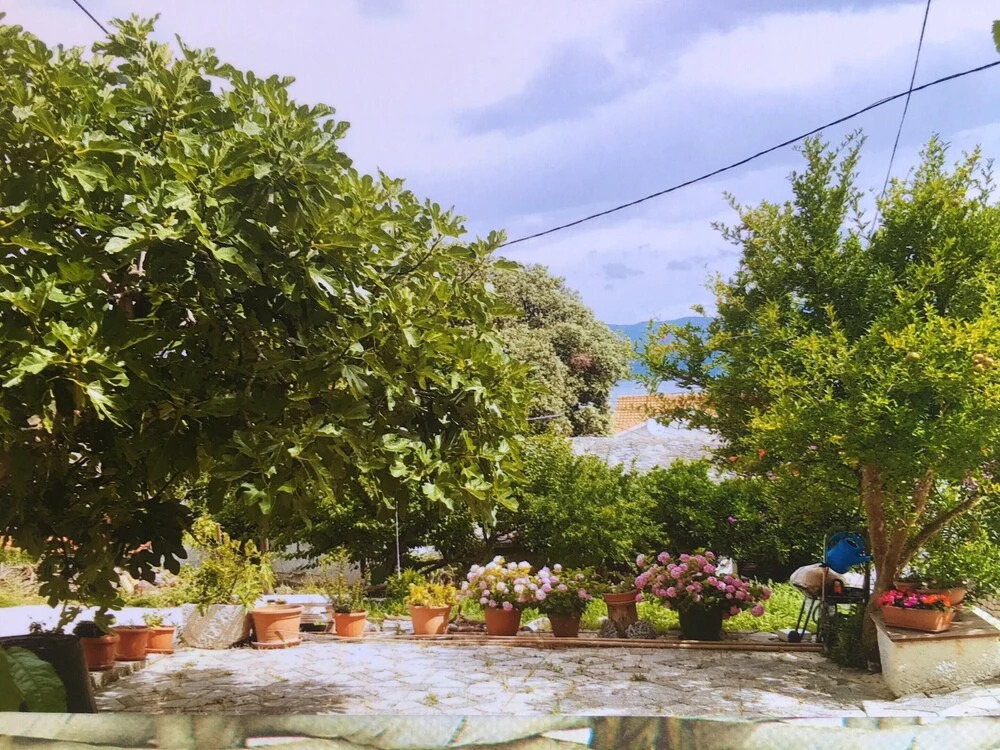 Apartment With 2 Bedrooms In Supetar With Wonderful Sea View Furnished Terrace And Wifi