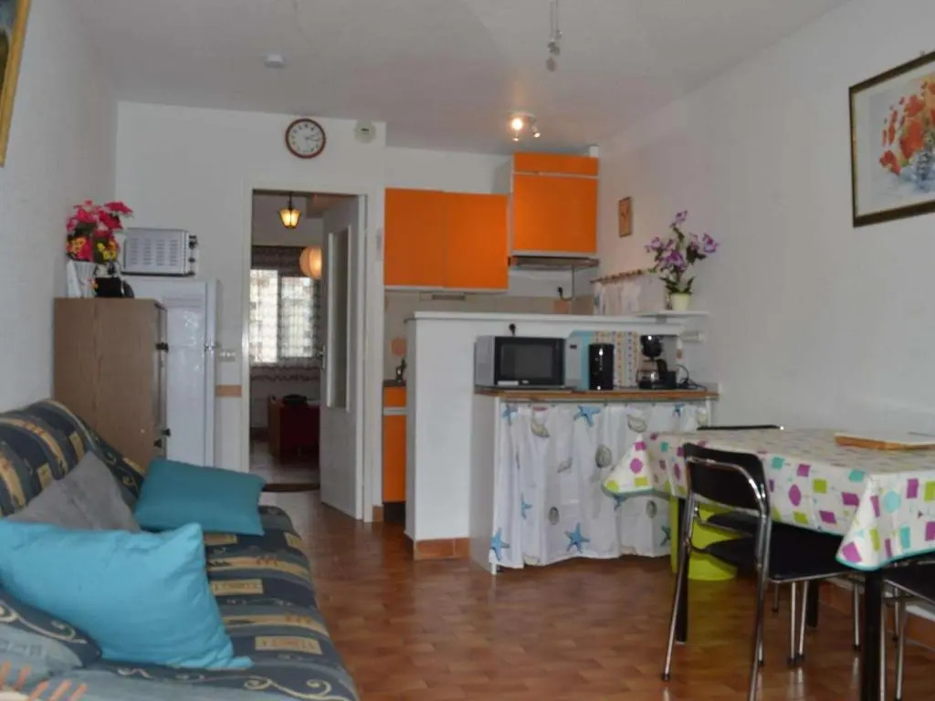 Appartement Le Grau-du-Roi, 2 pièces, 4 personnes - FR-1-250-136