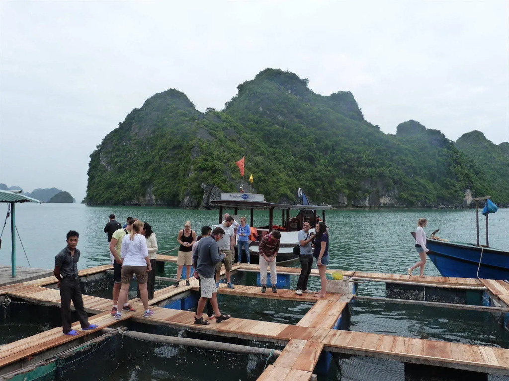 Gray Line Halong Cruise