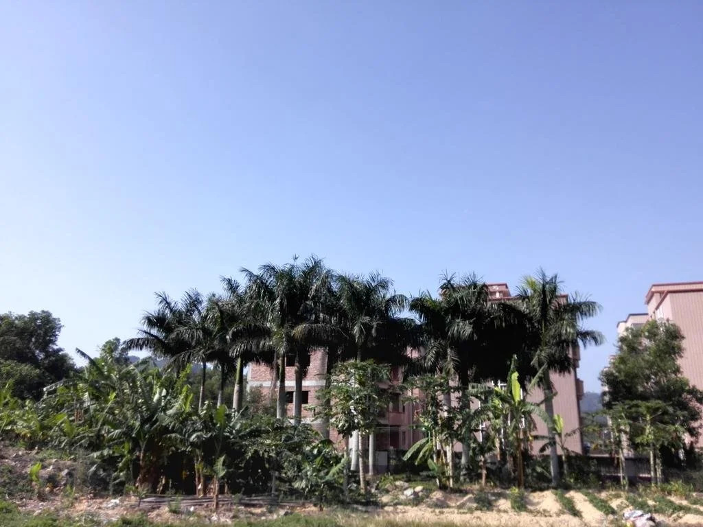 Shenzhen Dapeng Nanao Xing Kong Youth Hostel