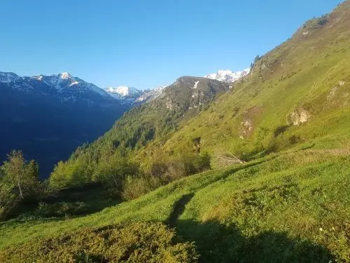 "Chalet le Dahlia - 4 Vallees"