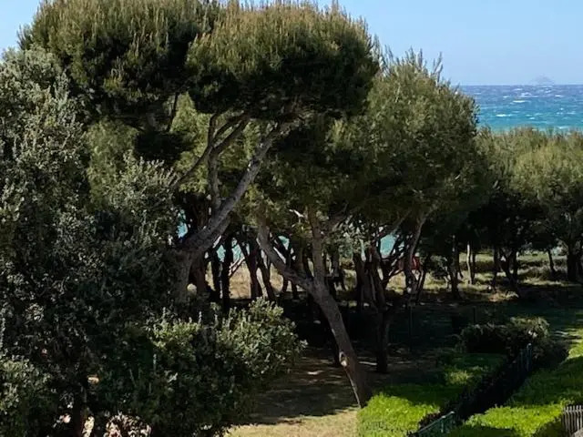 Appartement vue mer-domaine privé
