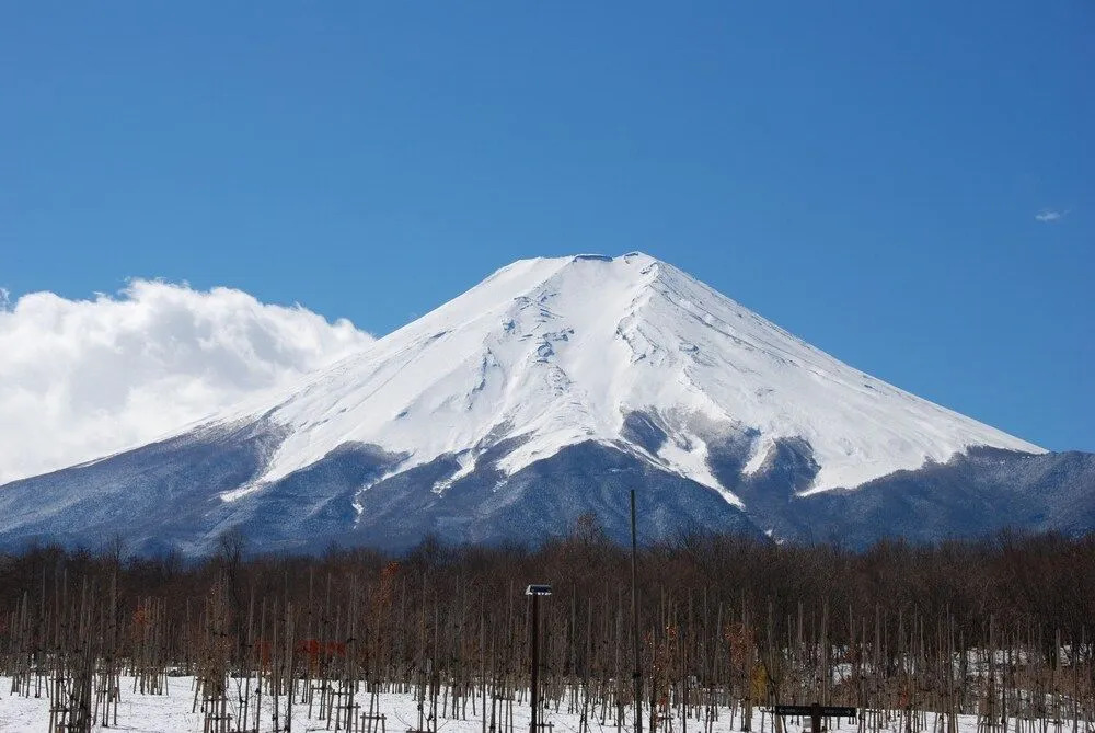 Yamanouchi Guest House