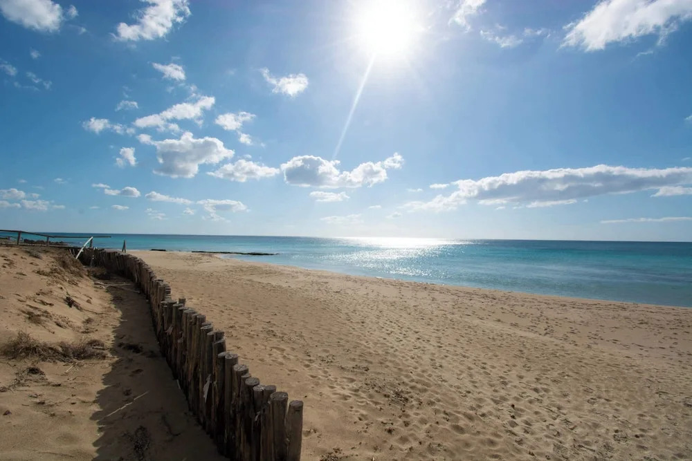 Le Bianche Apt 4 - Terrace near the Sea